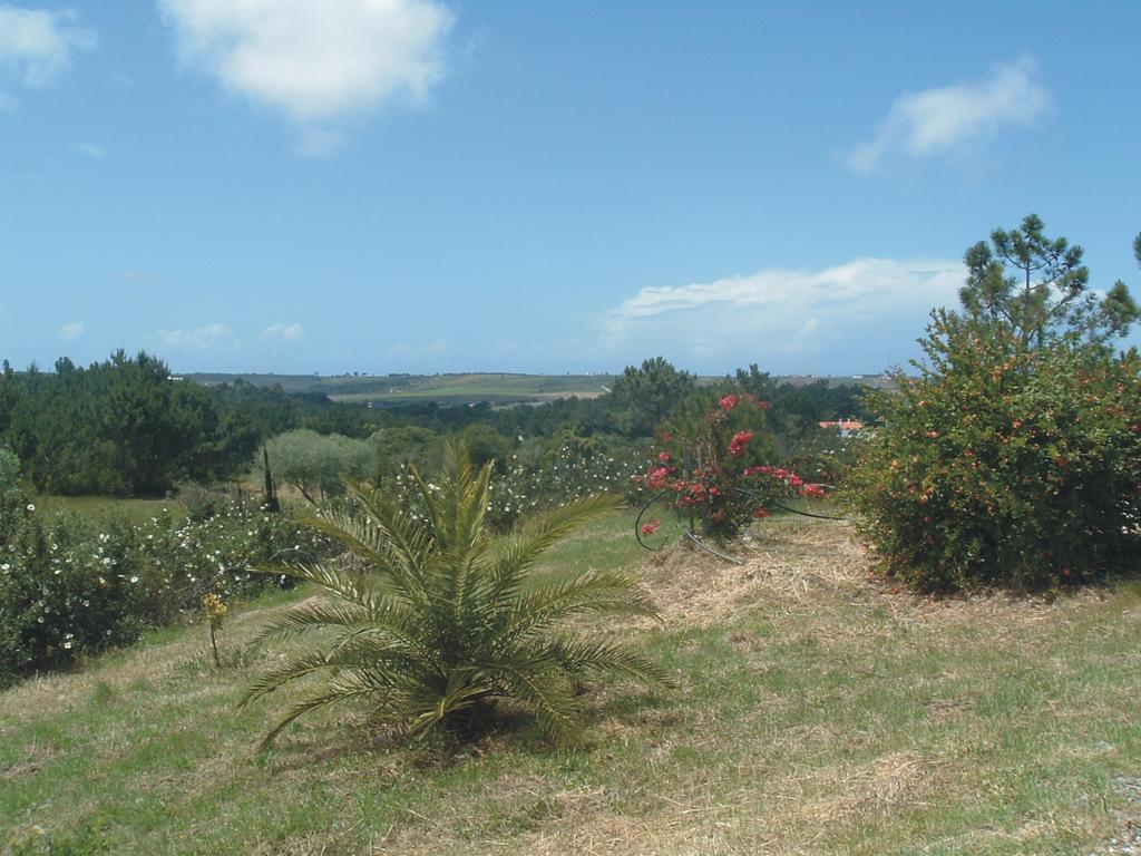 Monte Da Xara Villa Aljezur Exterior foto